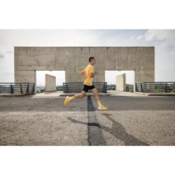 Ademend Hardloop T-shirt Voor Heren Light 19 Ademend Hardloop T-shirt Voor Heren Light -Regatta Verkoop ademend hardloop t shirt voor heren light mango oranje 9