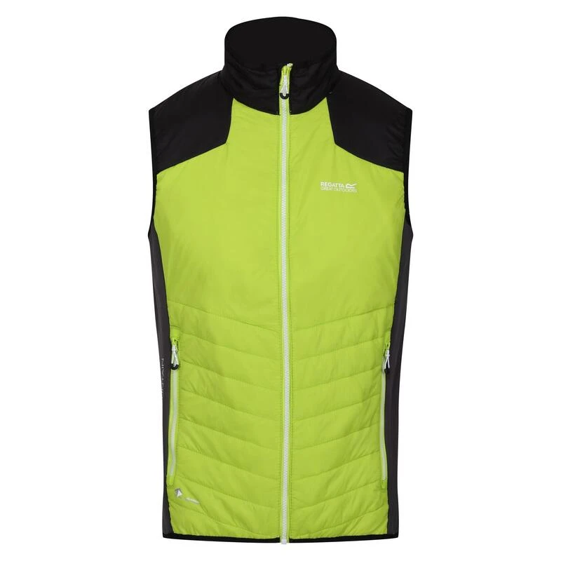 Regatta Halton VI Wandelbodywarmer Voor Heren 3 Regatta Halton VI Wandelbodywarmer Voor Heren - Afbeelding 3