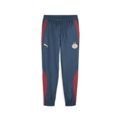 Puma Jogging PSV Eindhoven Stadium