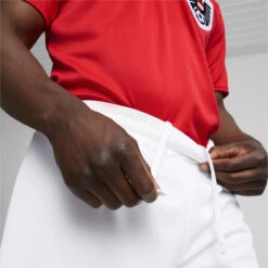 Oostenrijk Thuis 22/23 Replica Shorts Heren PUMA 10 Oostenrijk Thuis 22/23 Replica Shorts Heren PUMA -Regatta Verkoop oostenrijk thuis 2223 replica shorts heren puma 4