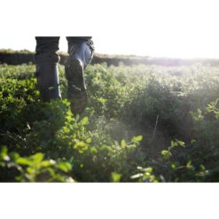 Rubberlaarzen Met Plooi 520 11 Rubberlaarzen Met Plooi 520 -Regatta Verkoop rubberlaarzen met plooi 520 5