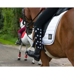 Set Van 3 Paar Rijsokken QHP Halloween 5 Set Van 3 Paar Rijsokken QHP Halloween -Regatta Verkoop set van 3 paar rijsokken qhp halloween 1