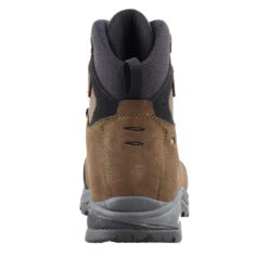 Asolo Waterdichte Jachtschoenen X-Hunt Forest Gore-tex Vibram 23 Asolo Waterdichte Jachtschoenen X-Hunt Forest Gore-tex Vibram -Regatta Verkoop waterdichte jachtschoenen x hunt forest gore tex vibram 6